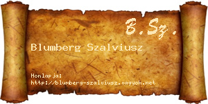 Blumberg Szalviusz névjegykártya